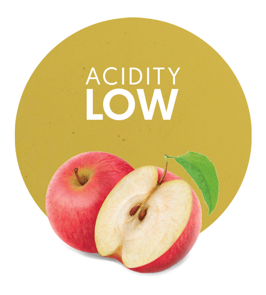 Apple Concentrate Low Acidity-image- 1