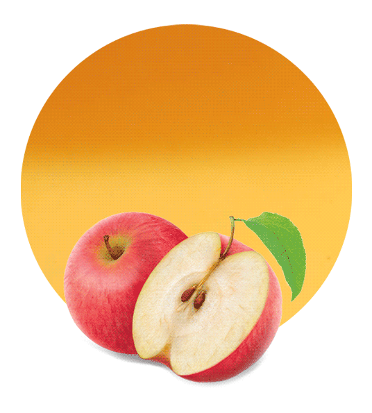 Apple Puree-image- 1