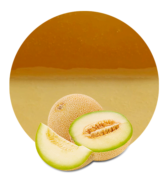 Honeydew Melon Concentrate-image- 1